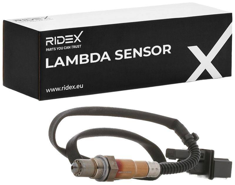 ELE-SEN-RID-BMW-NEW-0101 #2