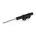 SUS-SHA-RID-VW-NEW-0120 #1