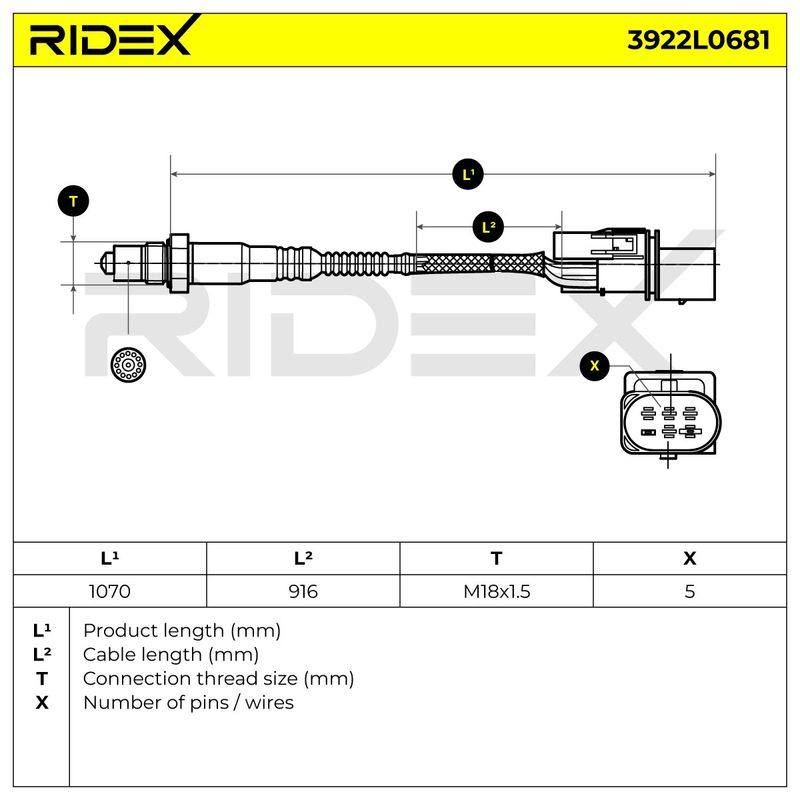 ELE-SEN-RID-BMW-NEW-0083 #4