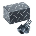 ELE-SEN-RID-CHR-NEW-0014 #3