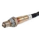 ELE-SEN-RID-BMW-NEW-0056 #1