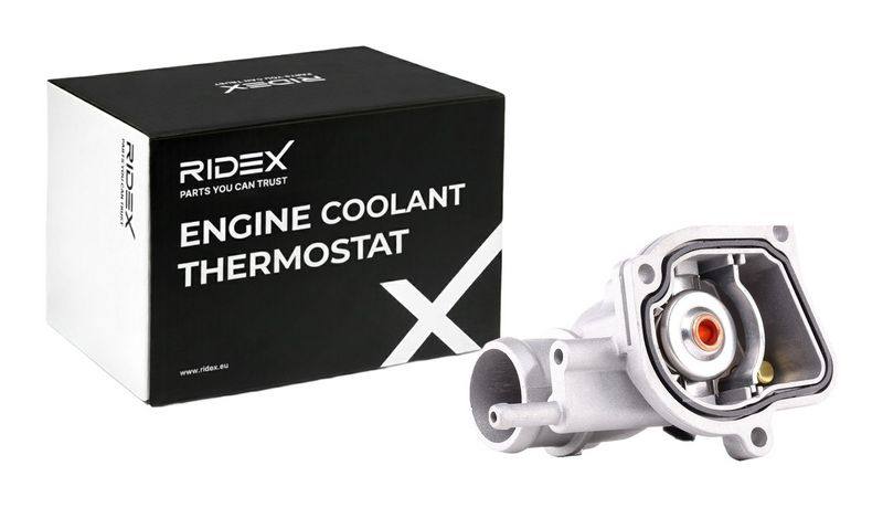 COO-THE-RID-MER-NEW-0010 #4
