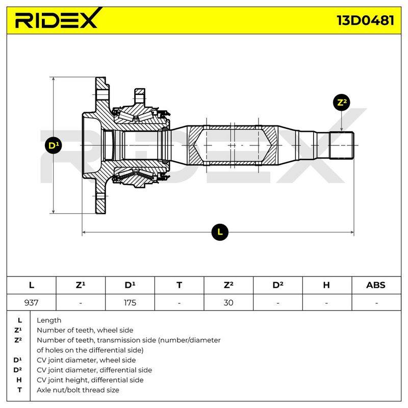 TRN-MSC-RID-VW-NEW-0193 #2