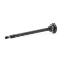 TRN-MSC-RID-VW-NEW-0187 #2