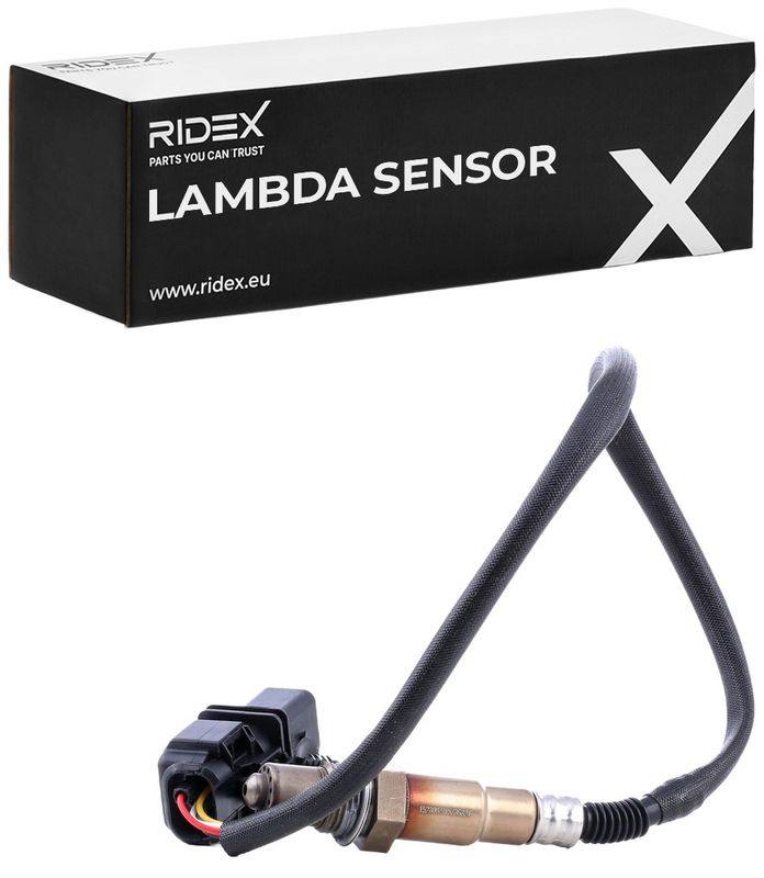 ELE-SEN-RID-BMW-NEW-0168 #4