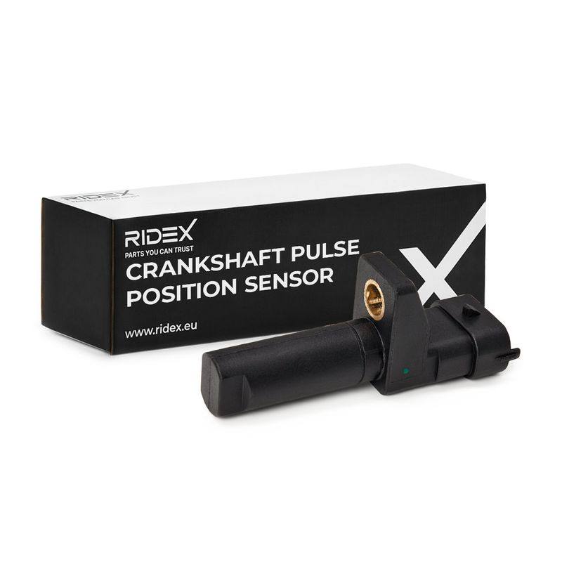 ELE-SEN-RID-CHR-NEW-0006 #2