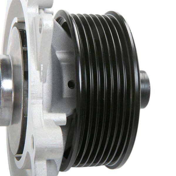 COO-WPU-RID-CHR-NEW-0007 #2