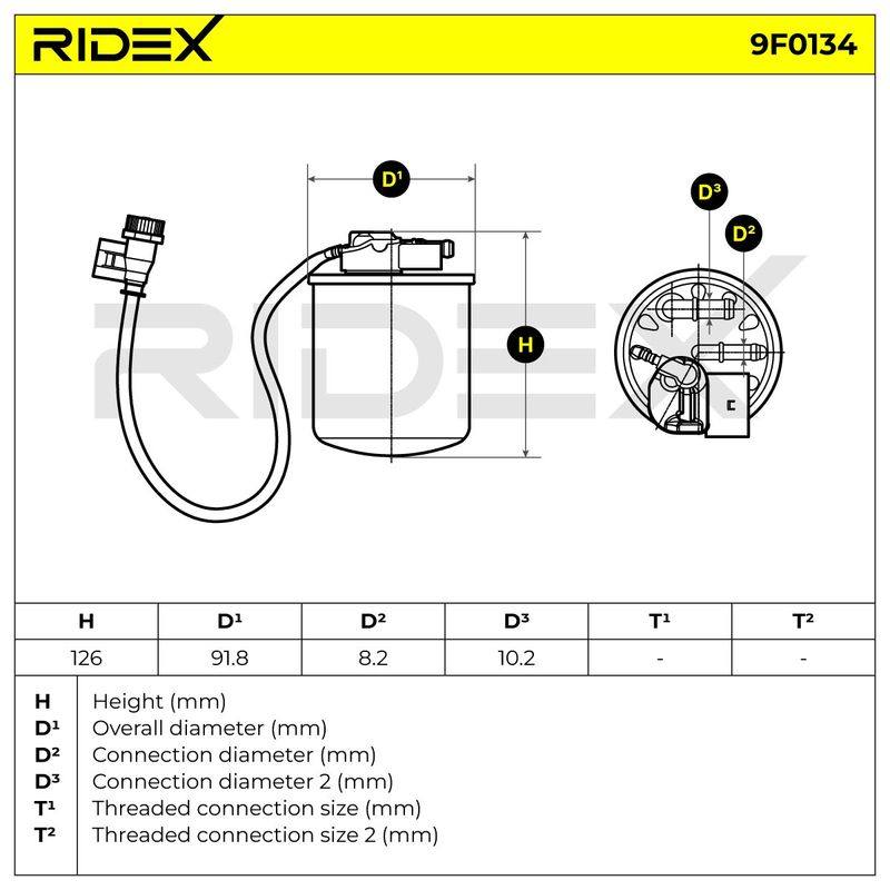 FIL-FUE-RID-MER-NEW-0023 #2