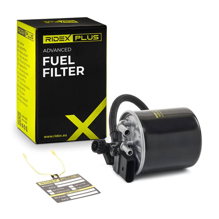 FIL-FUE-RID-MER-NEW-0022 #2