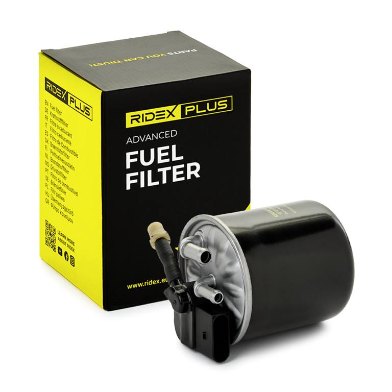 FIL-FUE-RID-MER-NEW-0021 #2