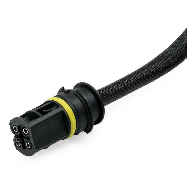 ELE-SEN-RID-BMW-NEW-0237 #1