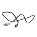 ELE-SEN-RID-BMW-NEW-0200 #4