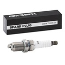 IGN-SPK-RID-HON-NEW-0001 #3