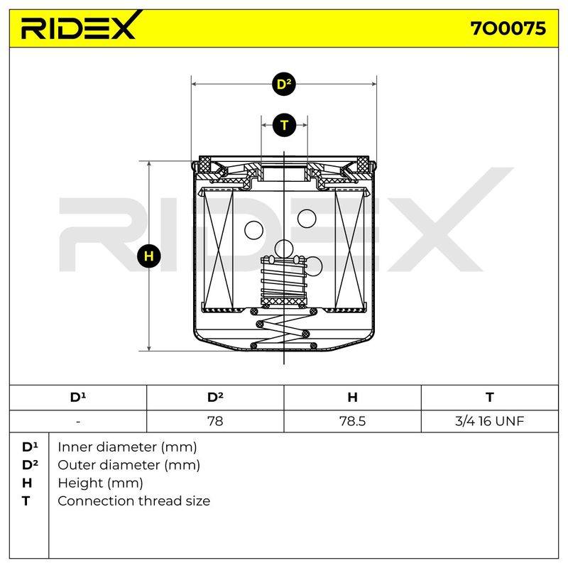FIL-OIL-RID-CHR-NEW-0002 #3
