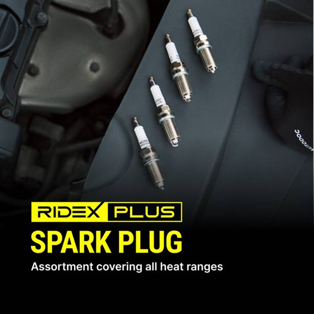 IGN-SPK-RID-TOY-NEW-0009 #2