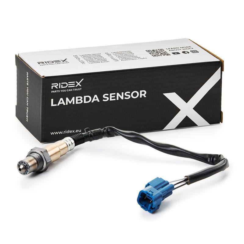 ELE-SEN-RID-SUZ-NEW-0048 #3