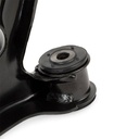 SUS-CAR-RID-CUP-NEW-0002 #1