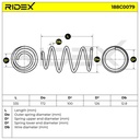 SUS-MSC-RID-CUP-NEW-0002 #1