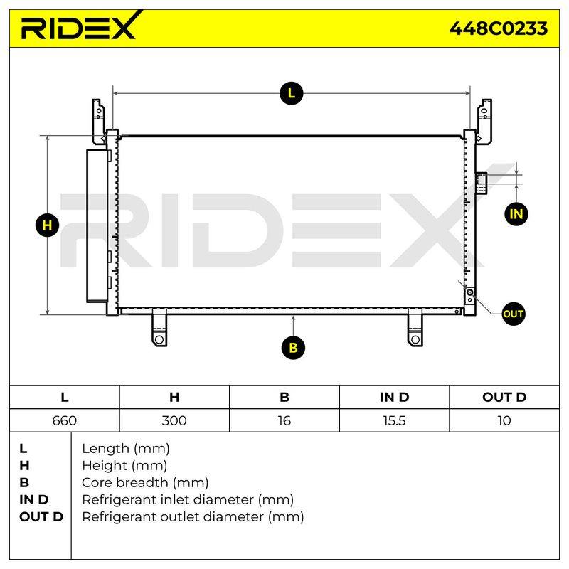 COO-MSC-RID-CUP-NEW-0006 #1