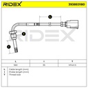ELE-SEN-RID-VW-NEW-0226 #2