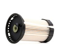 FIL-MSC-RID-VW-NEW-0642 #2