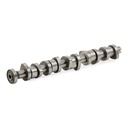 ENG-MSC-RID-VW-NEW-0034 #1