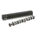 ENG-MSC-RID-VW-NEW-0034 #2