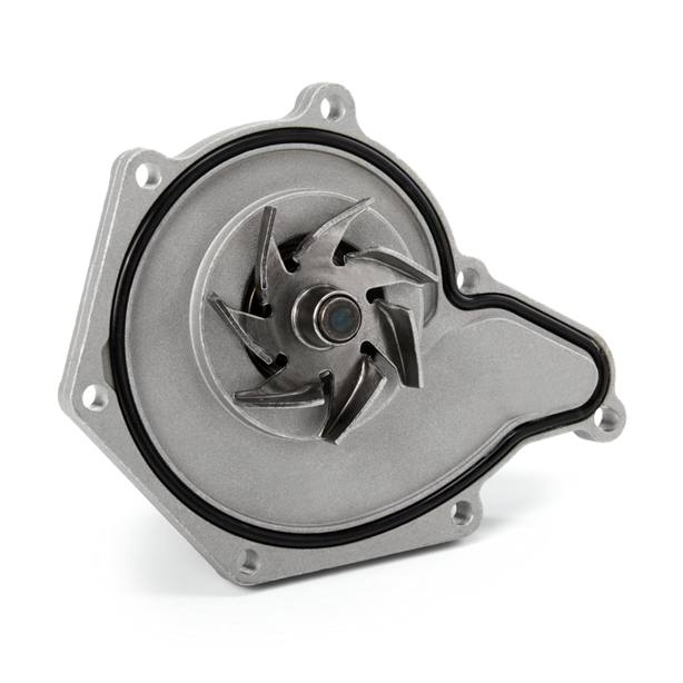COO-WPU-RID-POR-NEW-0013 #1