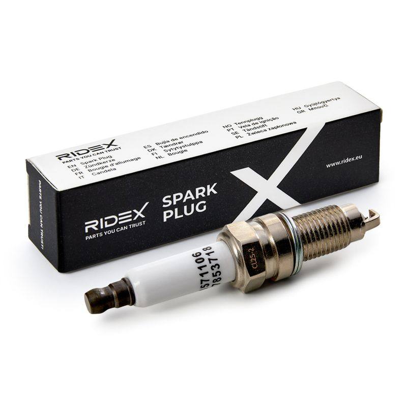 IGN-SPK-RID-POR-NEW-0015 #4