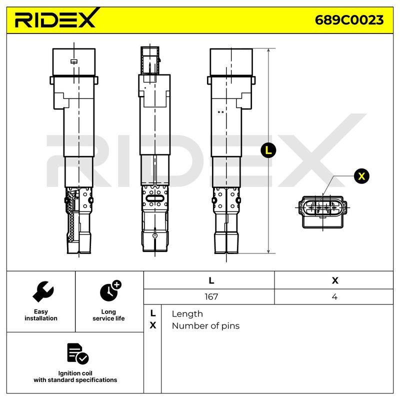 IGN-ICO-RID-POR-NEW-0006 #3