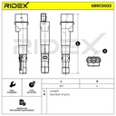 IGN-ICO-RID-POR-NEW-0006 #3
