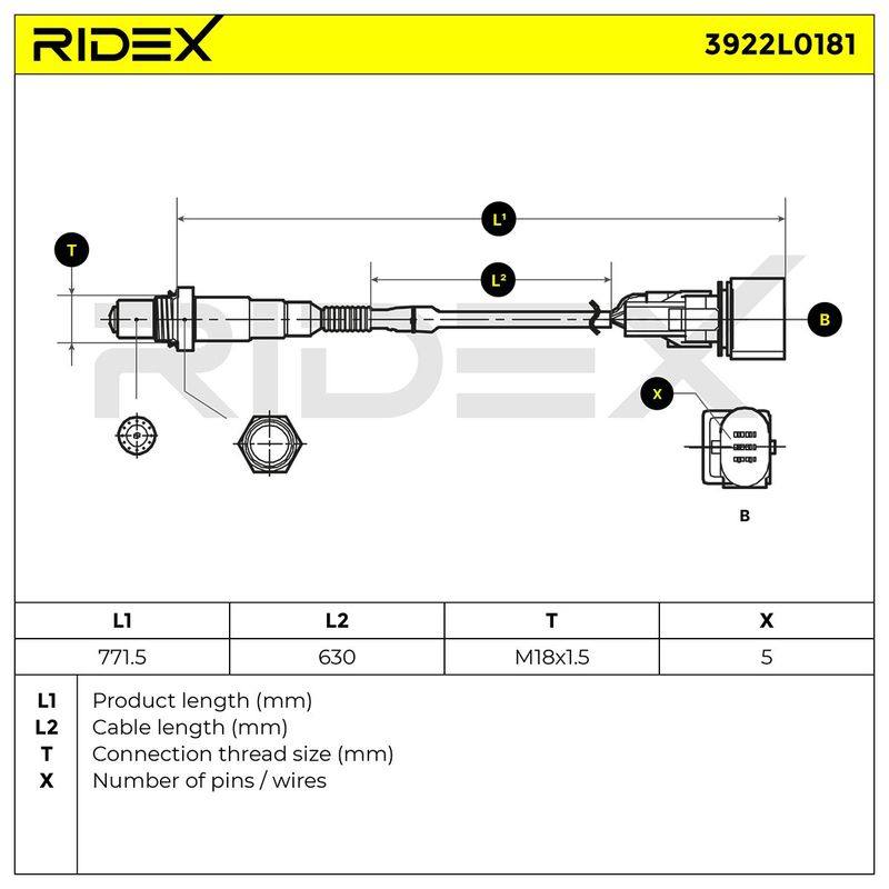 ELE-SEN-RID-BMW-NEW-0071 #3