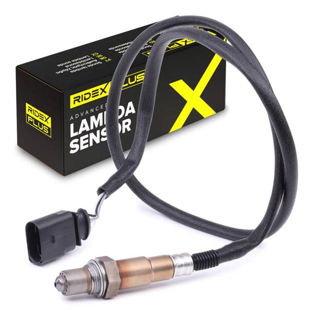 ELE-SEN-RID-SEA-NEW-0039 #3