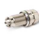 IGN-SPK-RID-VW-NEW-0001 #2