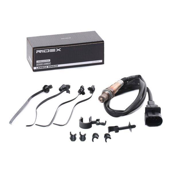 ELE-SEN-RID-BMW-NEW-0076 #1