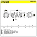SUS-MSC-RID-VW-NEW-0174 #2