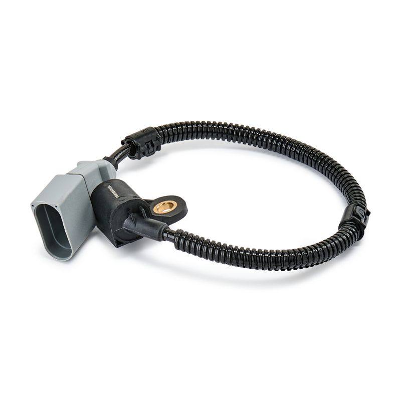 ELE-SEN-RID-CHR-NEW-0065 #1