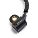 ELE-SEN-RID-CHR-NEW-0065 #2