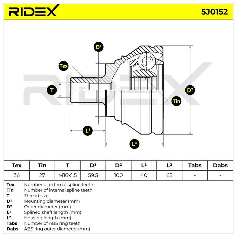 TRN-MSC-RID-CUP-NEW-0008 #2