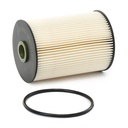 FIL-FUE-RID-CIT-NEW-0005 #2