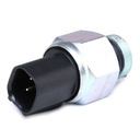 ELE-MSC-RID-MAZ-NEW-0028 #2