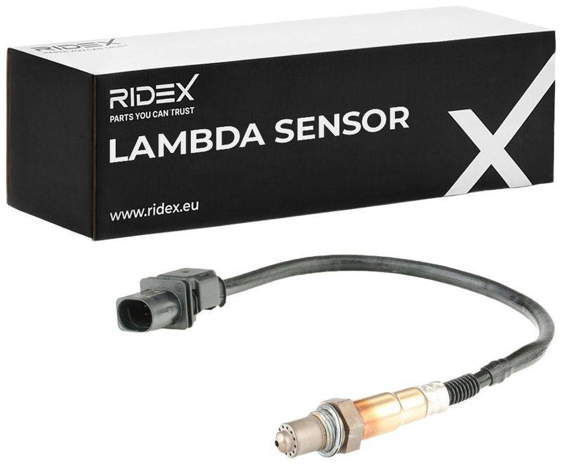ELE-SEN-RID-BMW-NEW-0138 #1