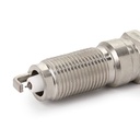 IGN-SPK-RID-VO1-NEW-0001 #2
