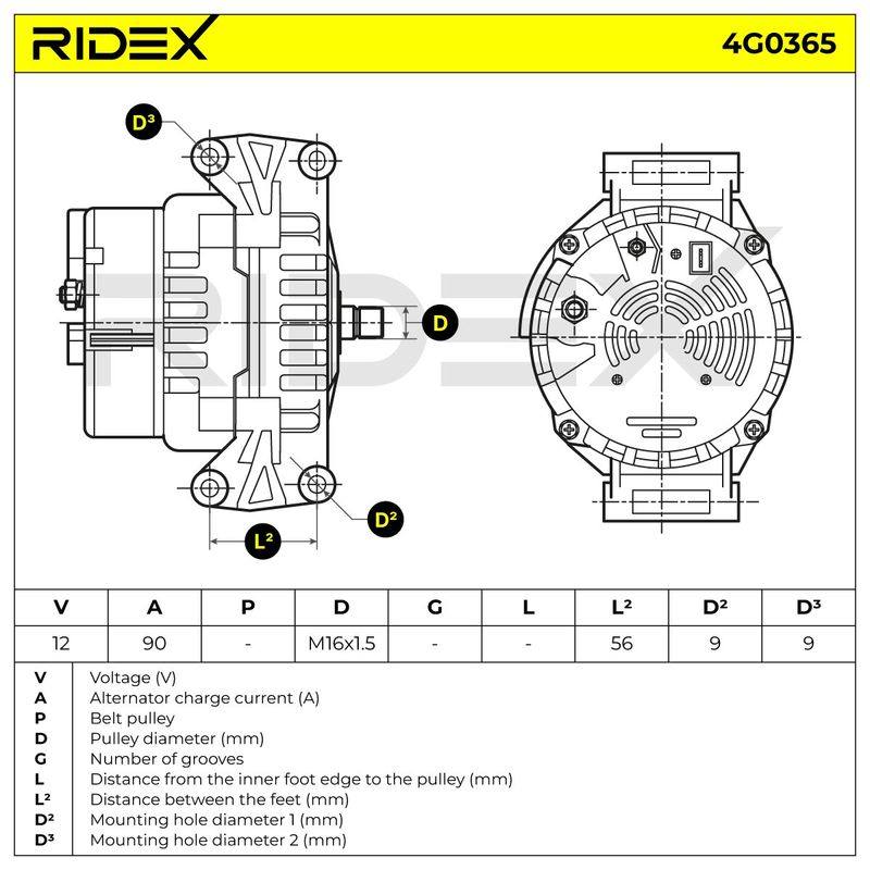 ELE-ALT-RID-MER-NEW-0085 #2