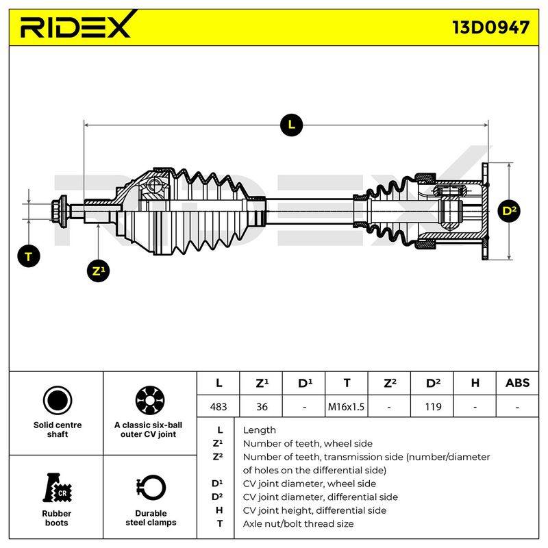 TRN-MSC-RID-VW-NEW-0025 #4