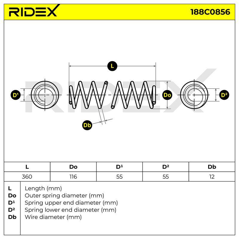 SUS-MSC-RID-VW-NEW-0179 #3