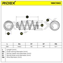 SUS-MSC-RID-SEA-NEW-0007 #1
