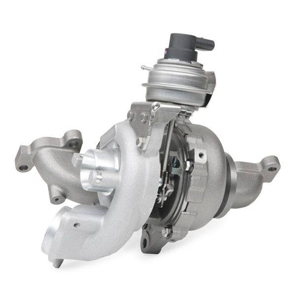 ENG-MSC-RID-VW-NEW-0111 #1