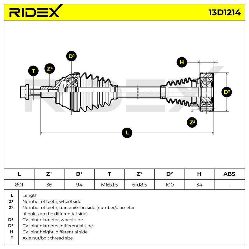 TRN-MSC-RID-SEA-NEW-0086 #2