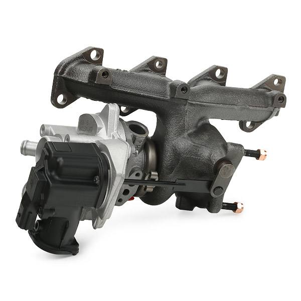 ENG-MSC-RID-VW-NEW-0110 #1
